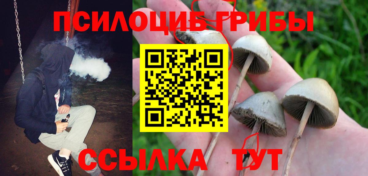 Псилоцибиновые грибы Psilocybine cubensis Красный Сулин