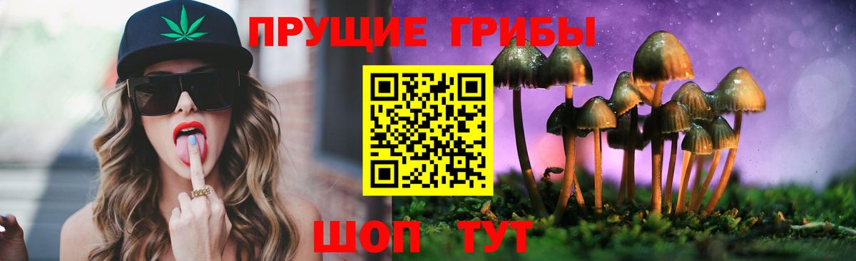 Красный Сулин  Псилоцибиновые грибы ЛСД  Вход с VPN 